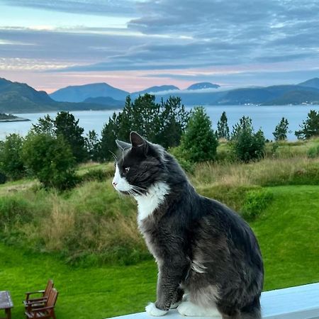 Wake Up To A Beautiful View And Smell Of The Sea Lejlighed Kristiansund Eksteriør billede