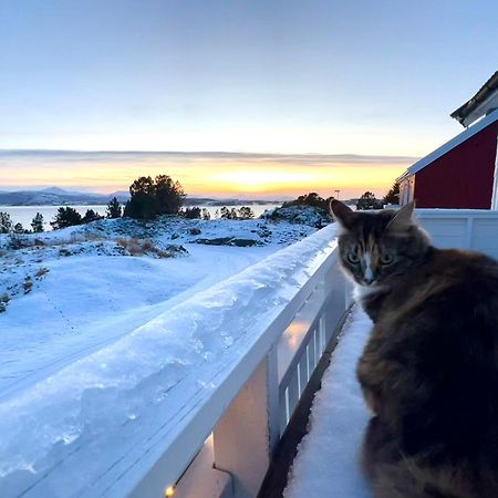Wake Up To A Beautiful View And Smell Of The Sea Lejlighed Kristiansund Eksteriør billede
