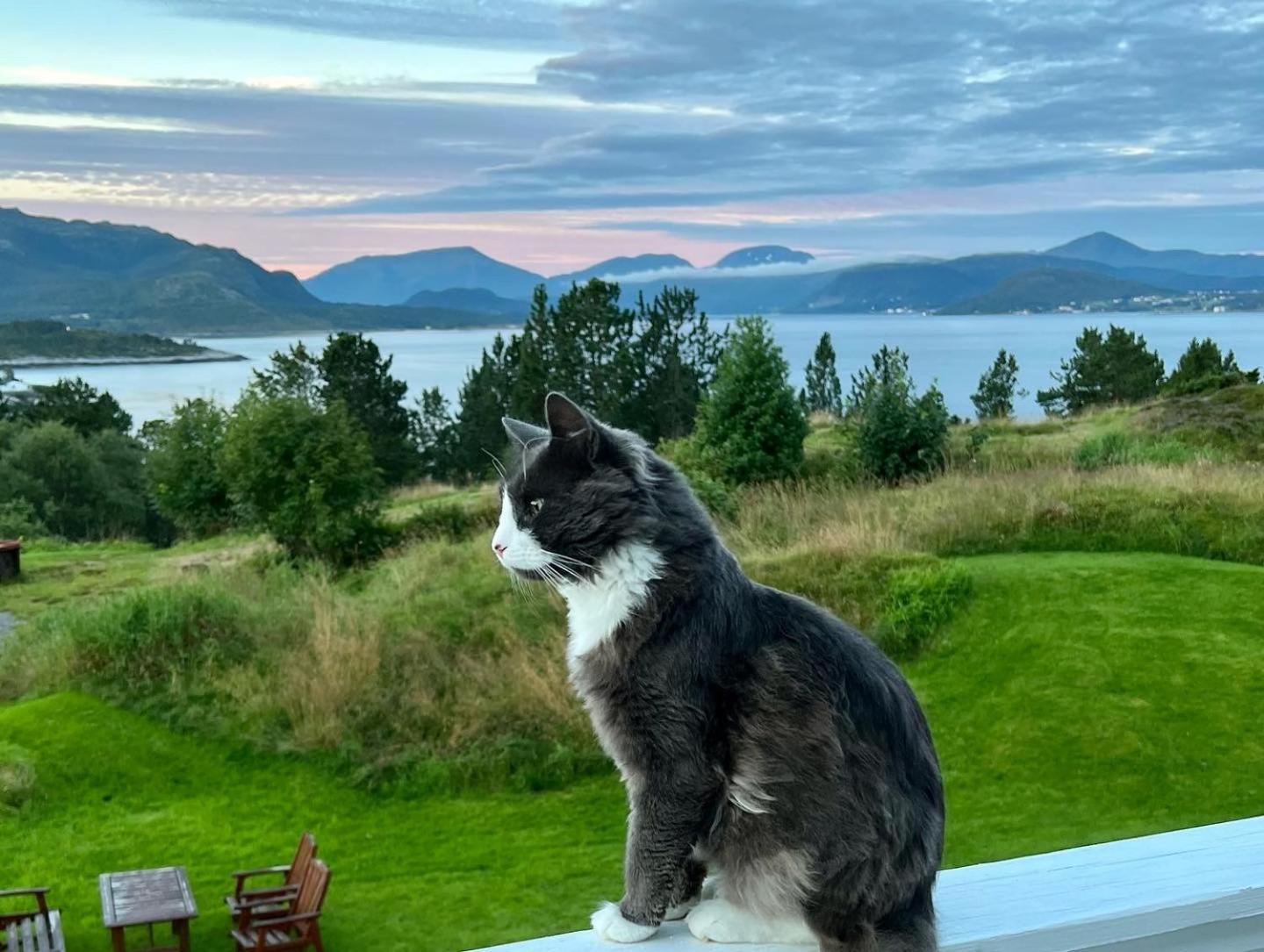Wake Up To A Beautiful View And Smell Of The Sea Lejlighed Kristiansund Eksteriør billede