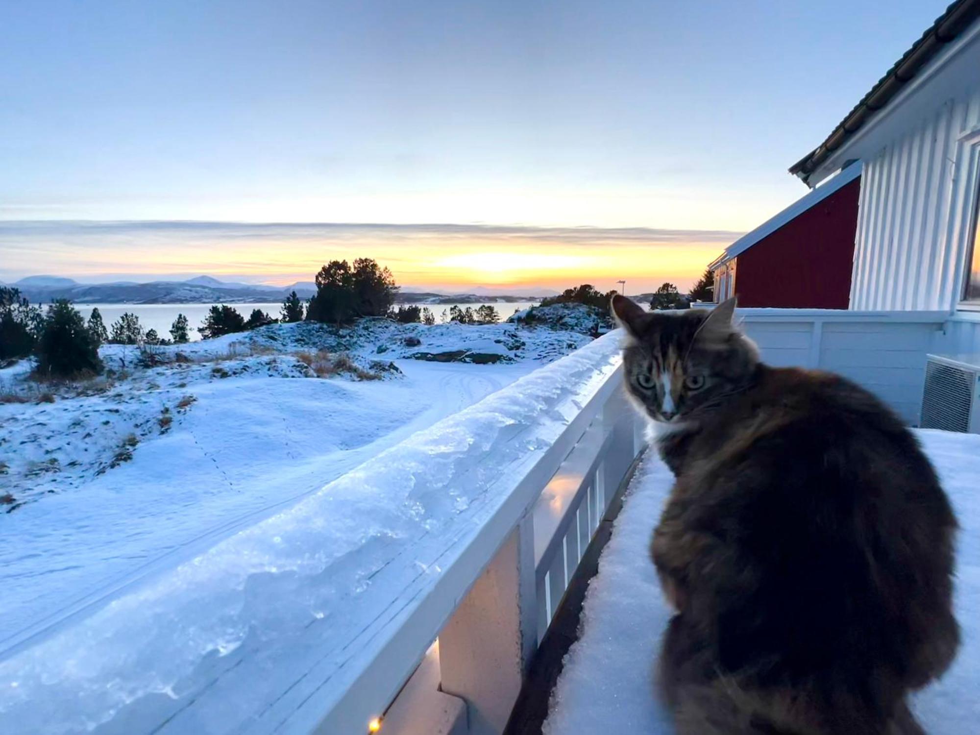 Wake Up To A Beautiful View And Smell Of The Sea Lejlighed Kristiansund Eksteriør billede