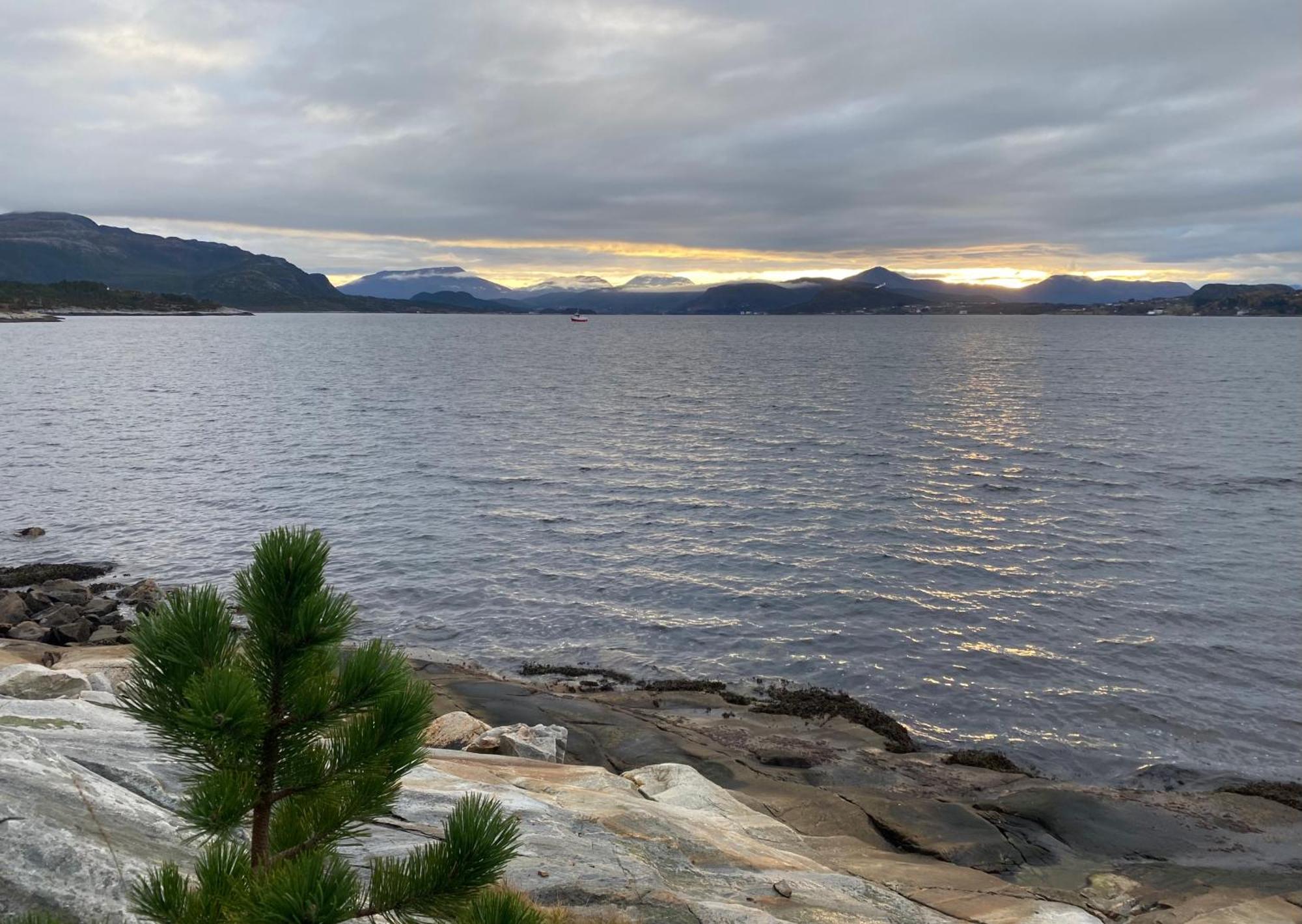 Wake Up To A Beautiful View And Smell Of The Sea Lejlighed Kristiansund Eksteriør billede